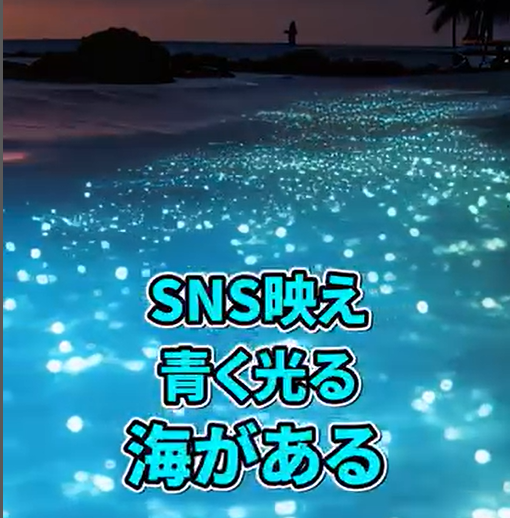 動画 光る海 スクショ