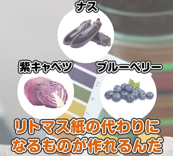 スクリーンショット (76)