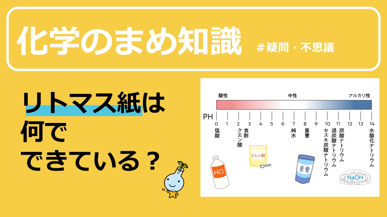 スライド13 コピー