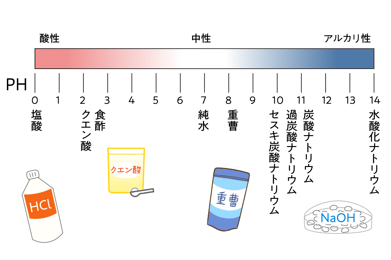 豆知識原稿 phイラスト
