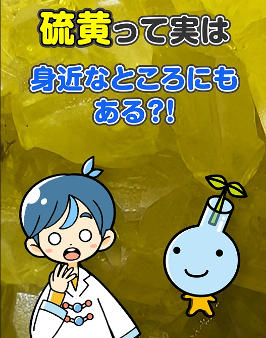 スクリーンショット (167) コピー
