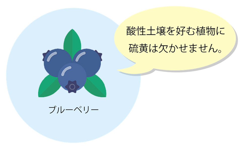 硫黄　まめ知識　画像1