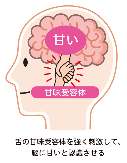 甘味受容体